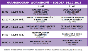 Workshopy - sobota 14.12.2013